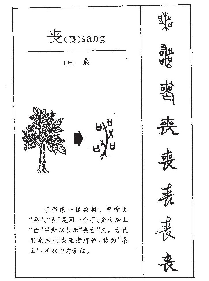 丧字字源