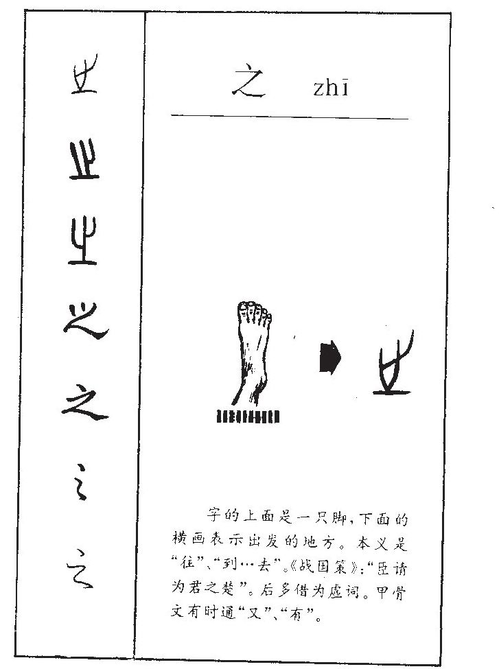 之字字源