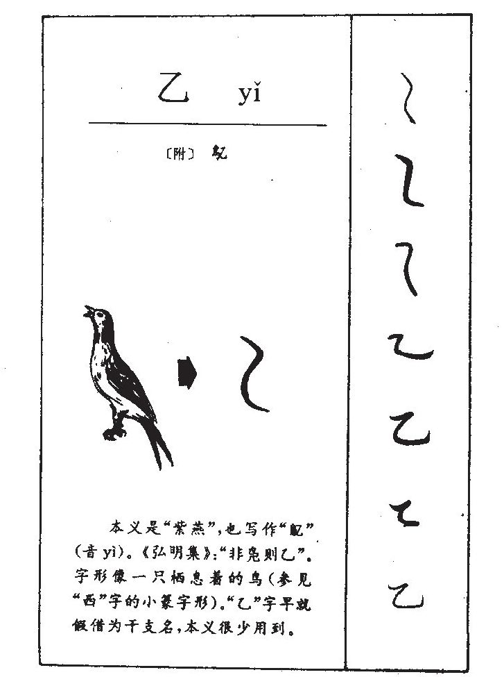 乙字字源