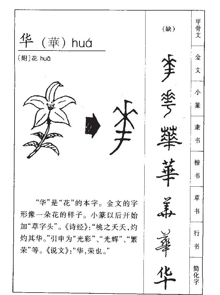 华字字源