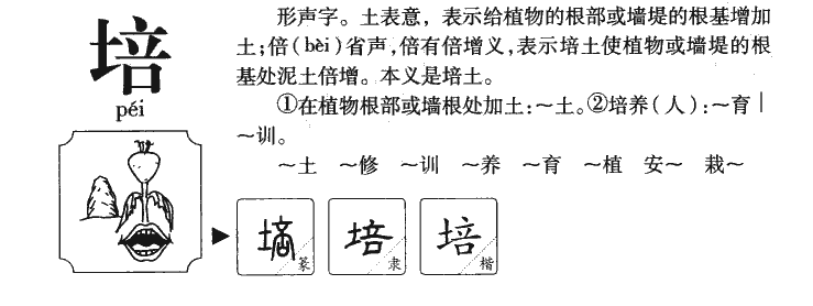 培字字源