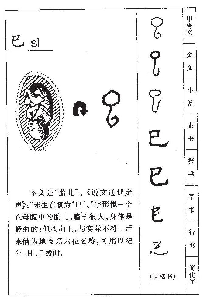 巳字字源