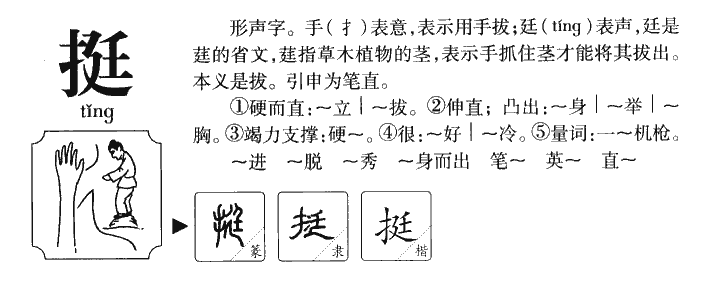 挺字字源