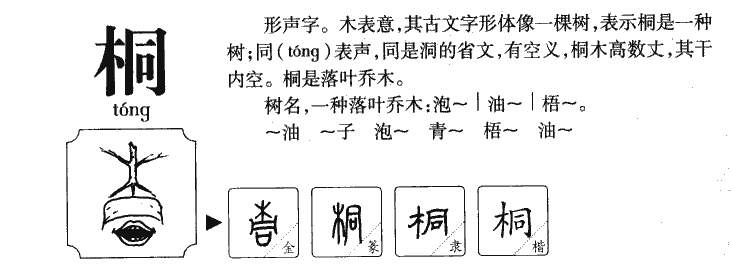 桐字字源