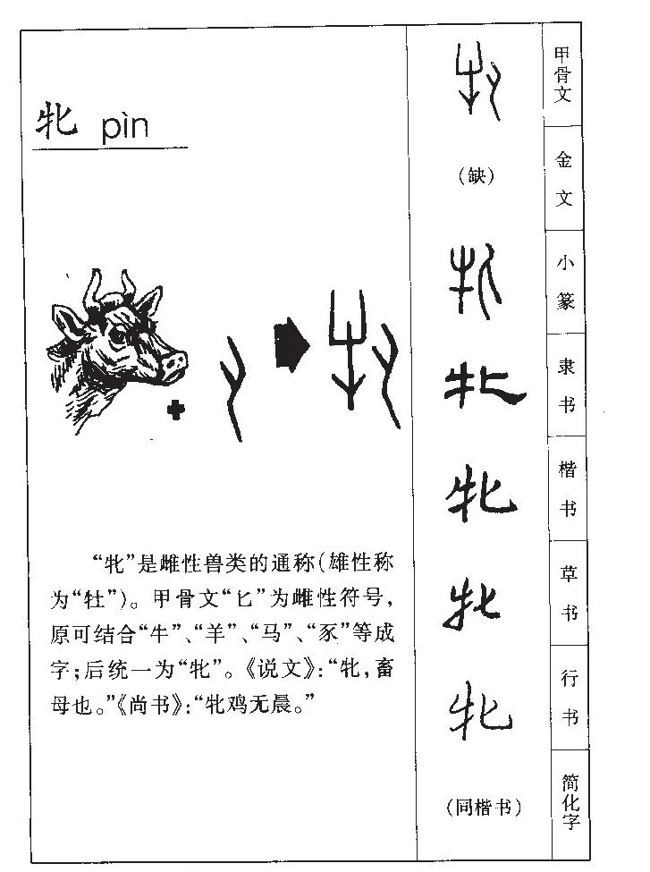 牝字字源