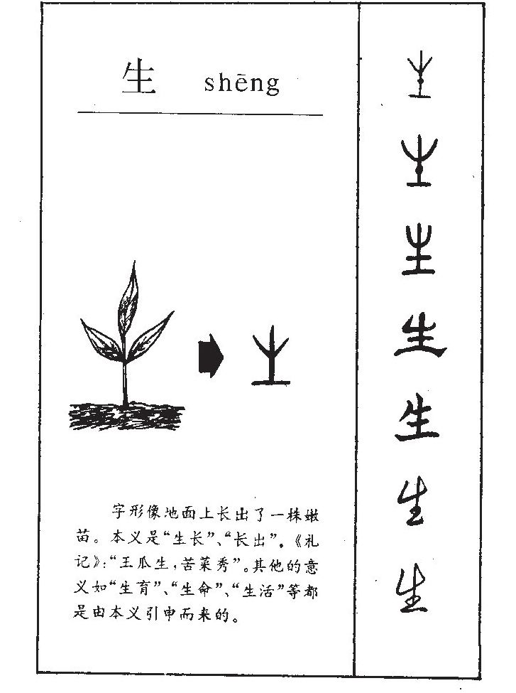 生字字源