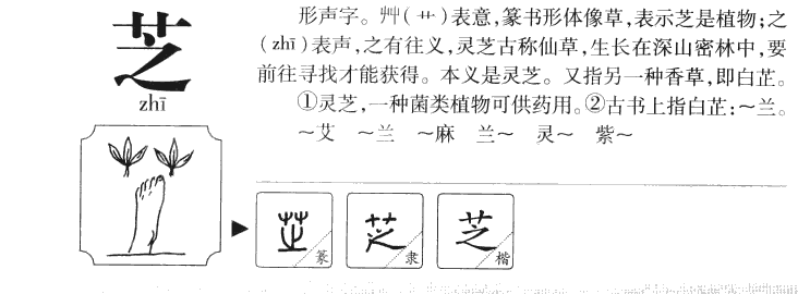 芝字字源