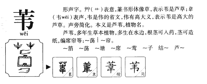 苇字字源