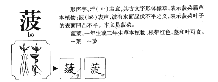 菠字字源