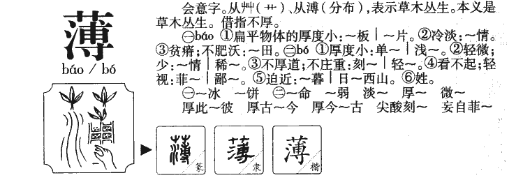 薄字字源