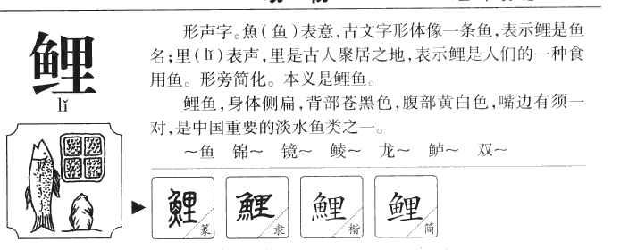 鲤字字源